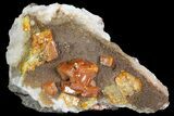 Wulfenite Crystals on Calcite - Los Lamentos, Mexico #139792-1
